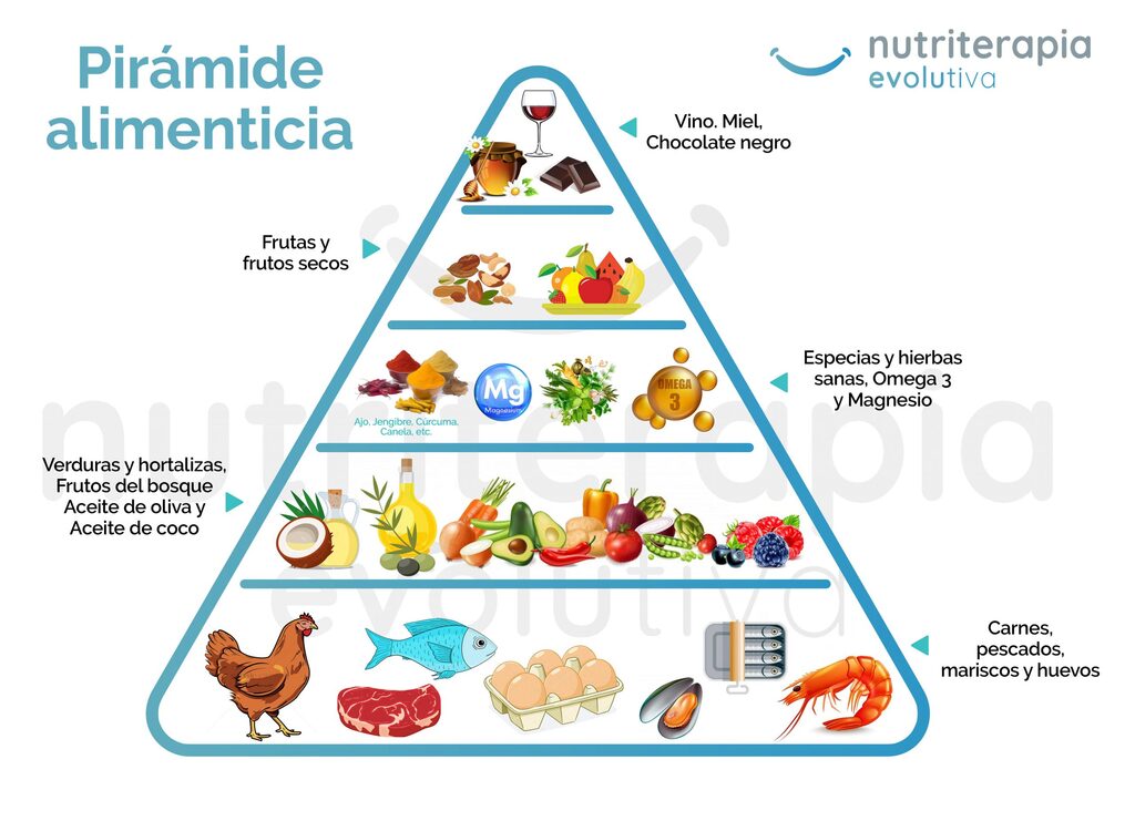 Pirámide alimentación evolutiva